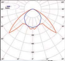  ������ ���� �����